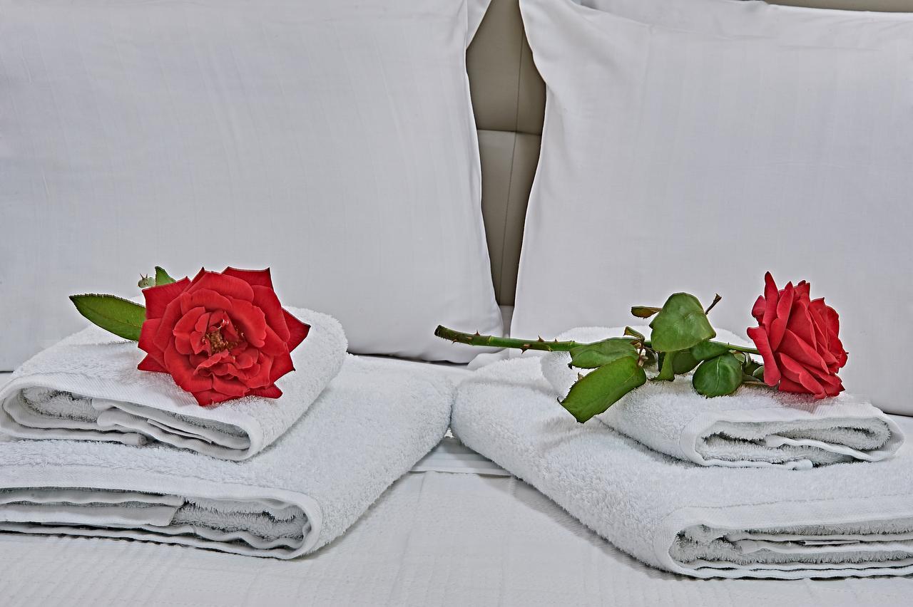 Element Hotel إيلافونيسوس المظهر الخارجي الصورة